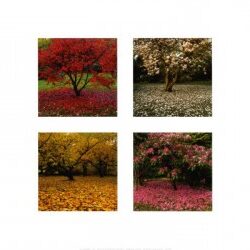 Time for a TreeChange