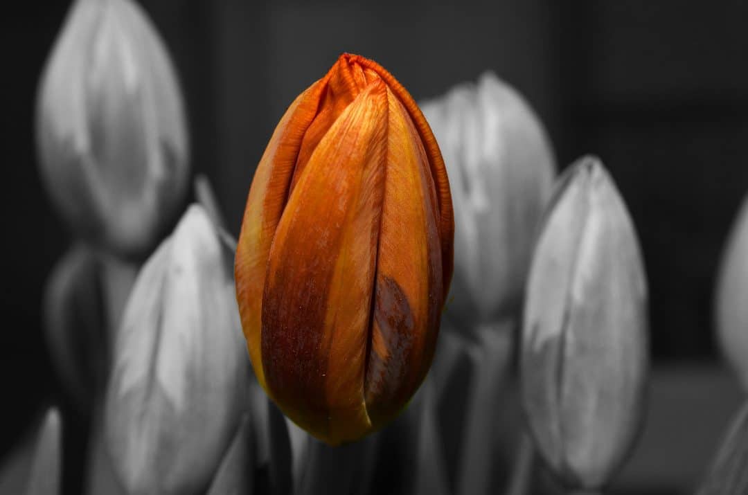 The Beauty of Grey